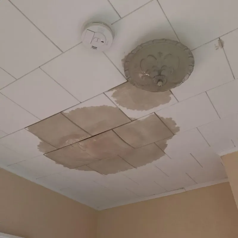 Ceiling Water Damage Repair in Forest, VA